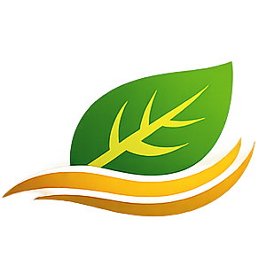 innxt 4